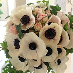 Teaser_Floral